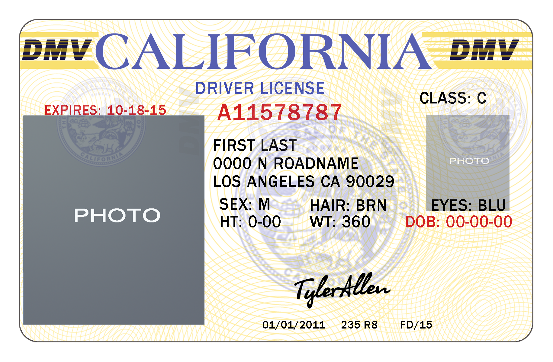 Free Blank Drivers License Template alohasoha